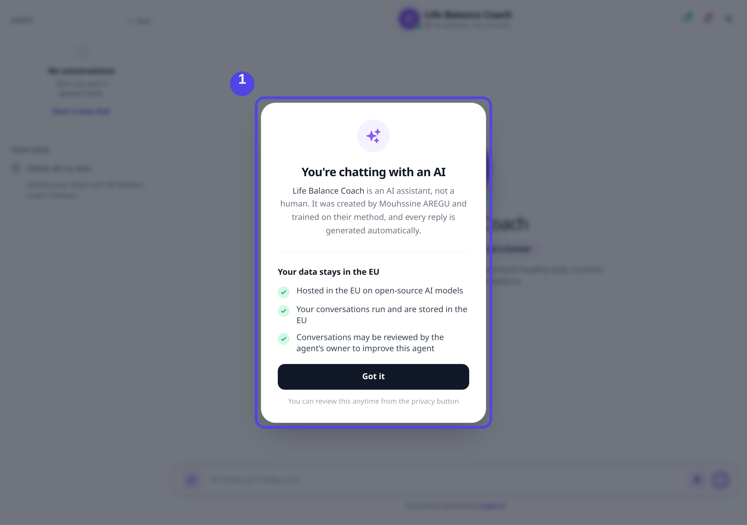 A published agent opening for the first time, with the AI disclosure shown over the chat interface.
