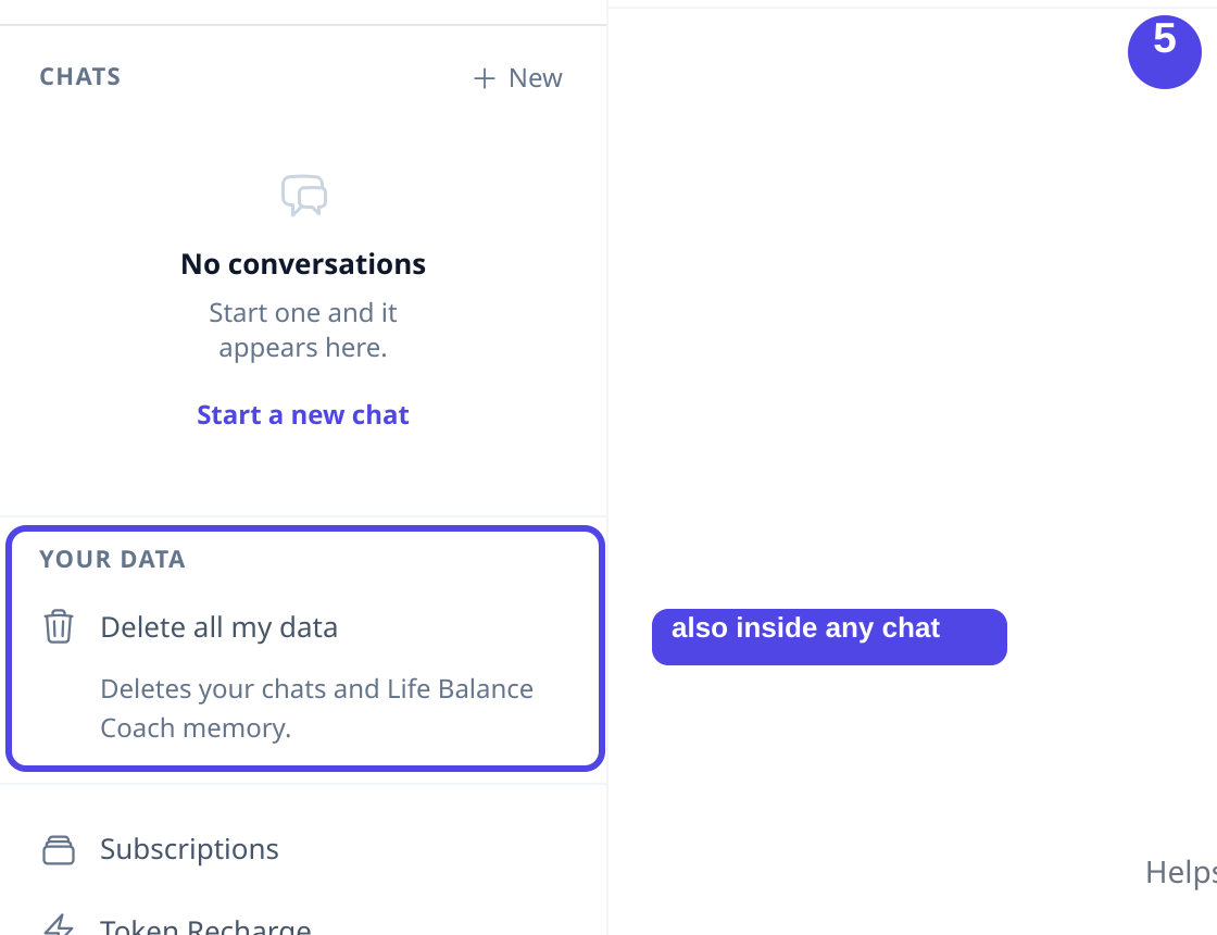 The chat sidebar showing a Your data section with a Delete all my data control.